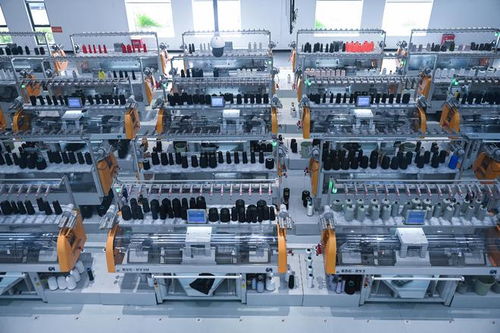 福建向新逐智：傳統產業長新枝，科技研發注入新活力