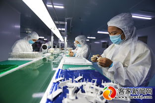 興國機電項目正式投產，開創科技研發與就業雙贏新局面